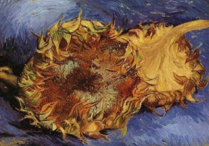 Van Gogh's Sunflowers